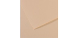 Feuille Mi-teintes Canson 160g 50x65