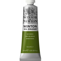 Peinture à l'huile Winton 37ml Terre Verte 637 - Winsor & Newton
